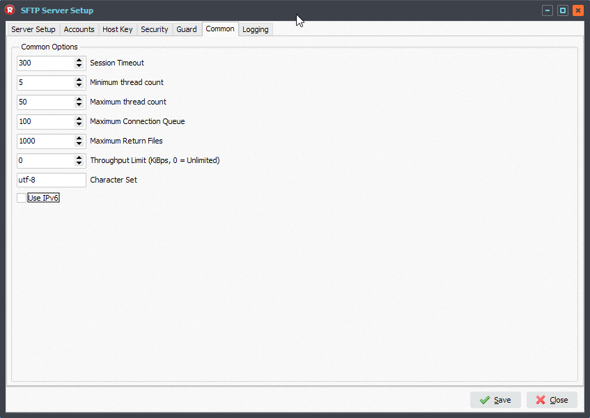 Limagito SFTP Server Common options